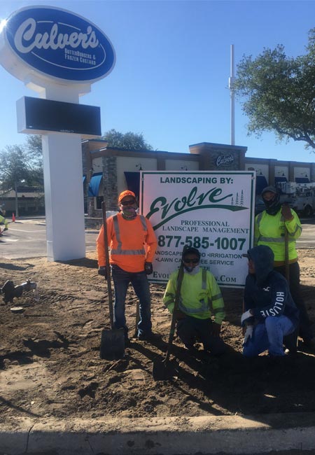 Culvers new landscape construction in Lakeland, FL.